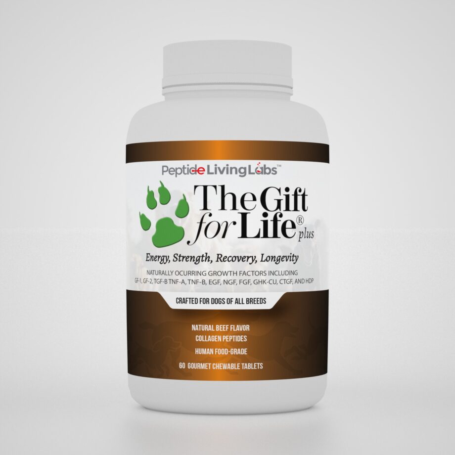 The Gift For Life Canine